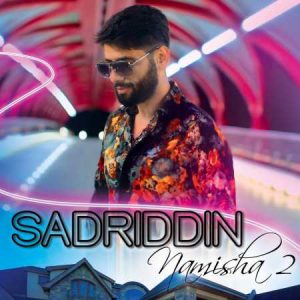 دانلود آهنگ صدرالدین به نام نمیشه 2